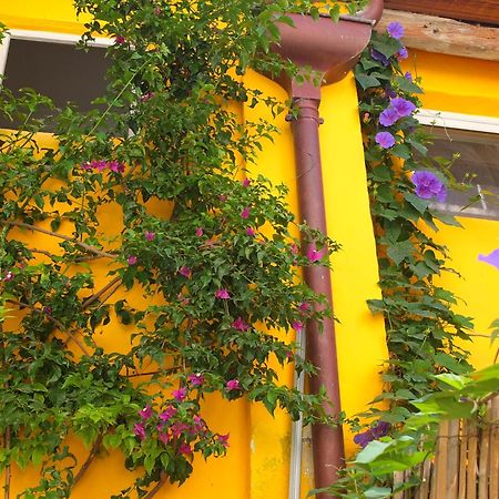 La Maison Jaune แซ็ต ห้อง รูปภาพ