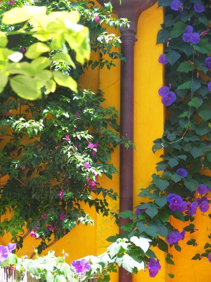 La Maison Jaune แซ็ต ภายนอก รูปภาพ